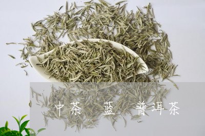 中茶 蓝 普洱茶/2023041203717